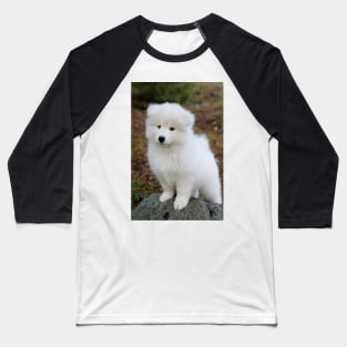 Cute samoyed dog puppy in the forest Baseball T-Shirt